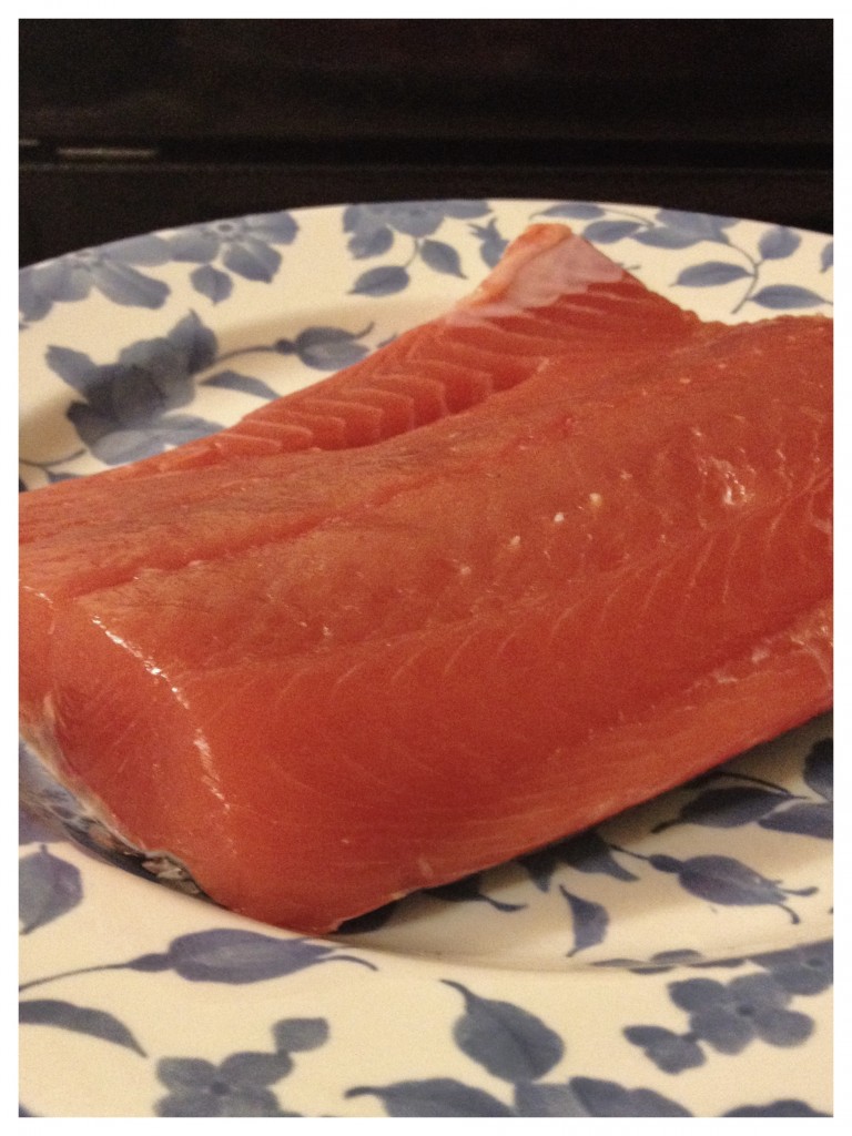 salmon